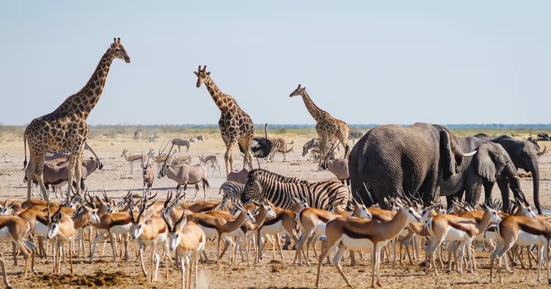 Ce pays désigné meilleure destination africaine pour les voyages authentiques
