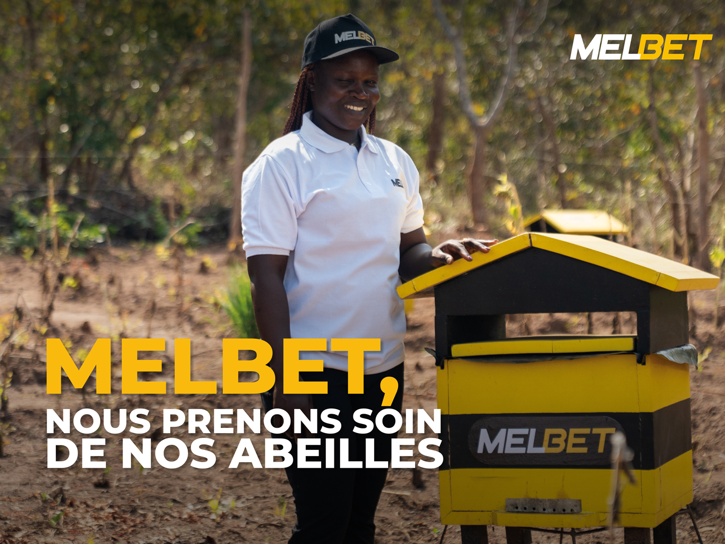 Sans abeilles, pas de vie : MELBET lance un projet pour sauver les abeilles et transformer la Côte d'Ivoire