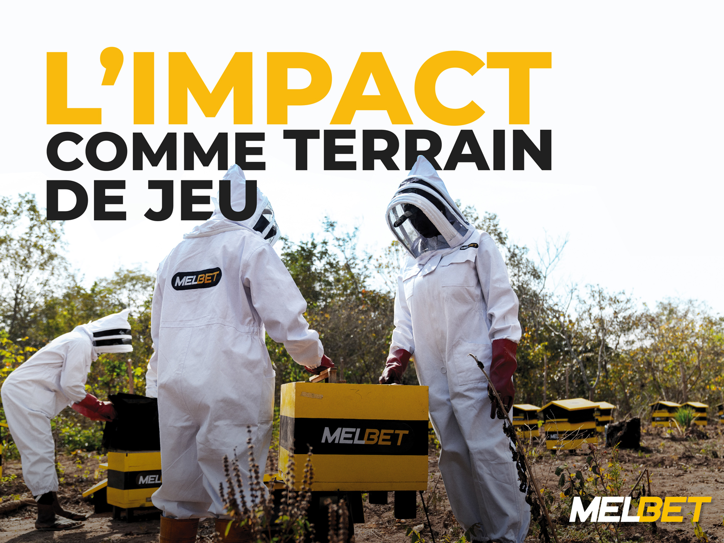 Sans abeilles, pas de vie : MELBET lance un projet pour sauver les abeilles et transformer la Côte d'Ivoire