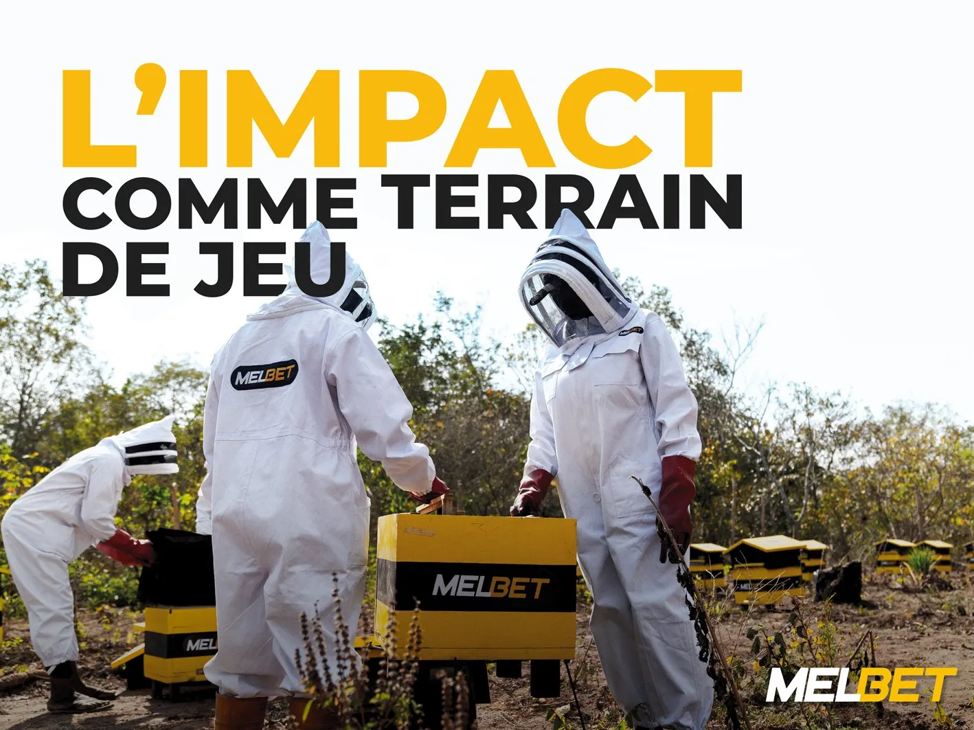 Sans abeilles, pas de vie : MELBET lance un projet pour sauver les abeilles et transformer la Côte d'Ivoire