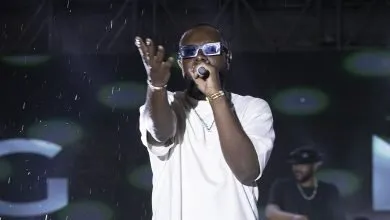 Gims en concert à Abidjan en 2024