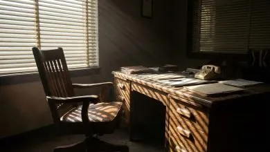 2026-03-30-felicia-diop-sy