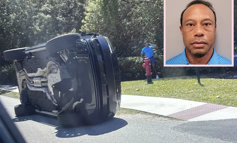 Affaire Tiger Woods – la police a trouvé dans ses poches quelque chose qui ne l’aidera pas.