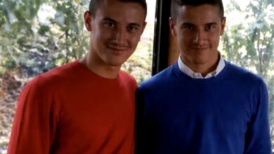 Deux frères jumeaux électrocutés en tentant de sauver un pigeon des lignes électriques