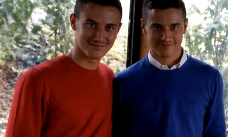 Deux frères jumeaux électrocutés en tentant de sauver un pigeon des lignes électriques