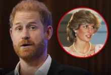 Le prince Harry affirme qu’il n’a jamais souhaité être un membre actif de la famille royale