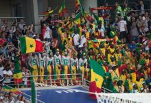 Supporters sénégalais, Lions de la Teranga (illustration)