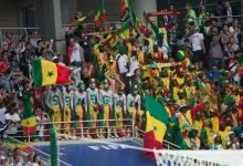 Supporters sénégalais, Lions de la Teranga (illustration)
