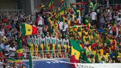 Supporters sénégalais, Lions de la Teranga (illustration)