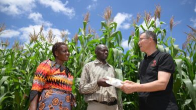 Le-Zimbabwe-verse-146-millions-de-dollars-d_indemnités-aux-agriculteurs-étrangers-