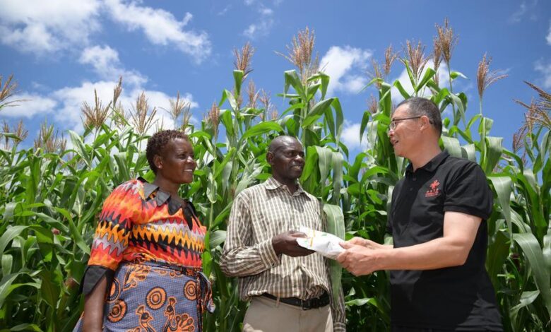 Le-Zimbabwe-verse-146-millions-de-dollars-d_indemnités-aux-agriculteurs-étrangers-
