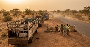 Burkina Faso: Voici pourquoi l'Apivirine est interdit dans le traitement du Covid-19