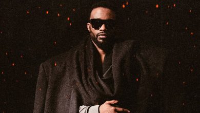 Fally Ipupa au Stade de France