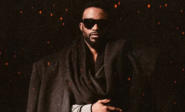 Fally Ipupa au Stade de France