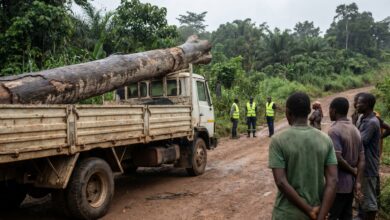 Illustration IA d’un camion touché par la chute d’un arbre à Niété
