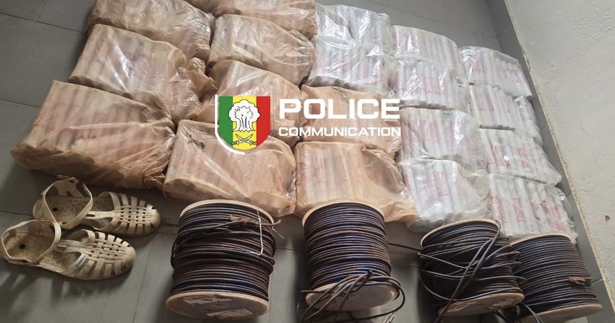 Sénégal : 660 bâtons d’explosifs saisis à la frontière avec le Mali