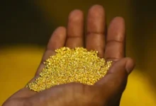 Un autre pays africain a interdit l&rsquo;exportation de l&rsquo;une de ses ressources les plus précieuses