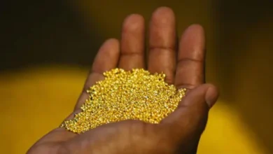 Un autre pays africain a interdit l’exportation de l’une de ses ressources les plus précieuses