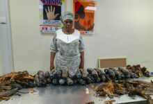 Une grand-mère arrêtée avec 13 kg de cocaïne dissimulés dans des pelures de plantain (vidéo)