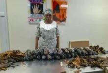 Une grand-mère arrêtée avec 13 kg de cocaïne dissimulés dans des pelures de plantain (vidéo)