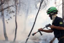 Un pompier algérien lutte contre un incendie de forêt à El Hachimia