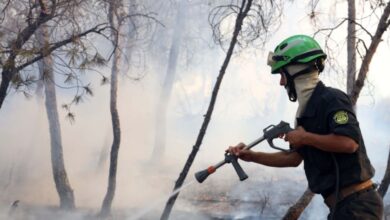Un pompier algérien lutte contre un incendie de forêt à El Hachimia