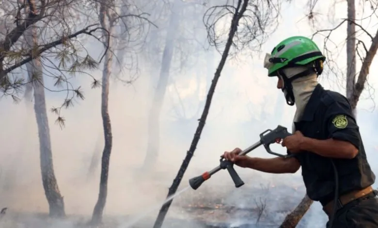 Un pompier algérien lutte contre un incendie de forêt à El Hachimia