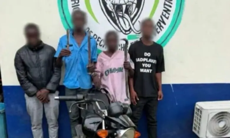 Quatre suspects et une moto présentés après le meurtre d’un livreur à Cocody