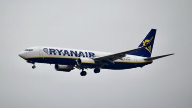 Un Boeing 737 de la compagnie Ryanair en phase d’atterrissage