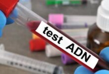 Nigeria : Tests ADN – 1 homme sur 4 n’est pas le père biologique de son enfant — Rapport