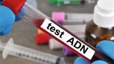 Nigeria : Tests ADN – 1 homme sur 4 n’est pas le père biologique de son enfant — Rapport