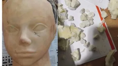 Tête de poupée et pierres de crack présumé saisies dans un aéroport sud-africain