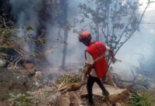 Secouriste sur le site du crash d’hélicoptère près du mont Ololokwe au Kenya