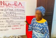 Esther Ogunmabo devant un tableau de la NDLEA dans l’État d’Ogun