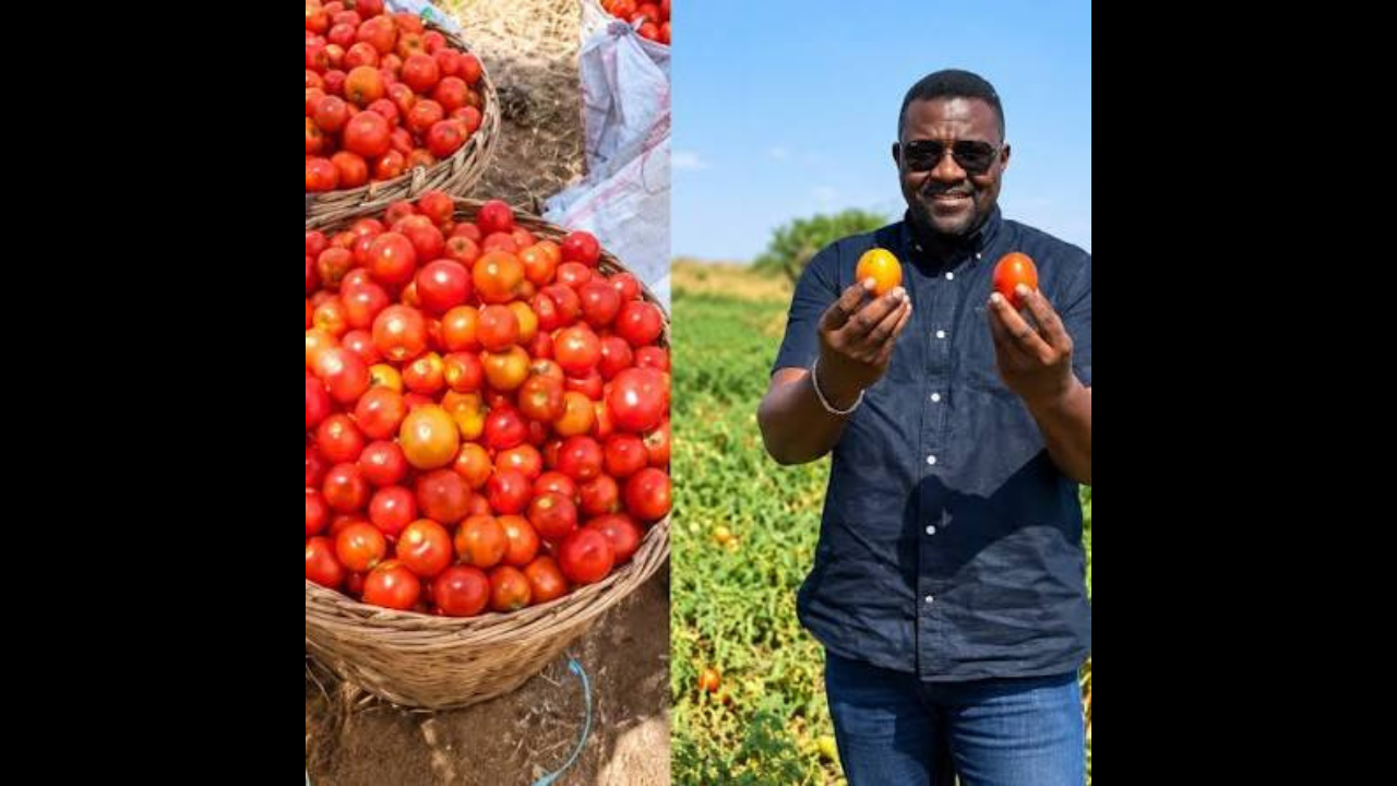 Ghana : Quand l’acteur John Dumelo sauve des producteurs de tomates du désastre