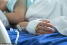 Un-enfant-de-deux-ans-est-euthanasié-une-première-dans-ce-genre-d_affaire-pour-ce-pays-européen-