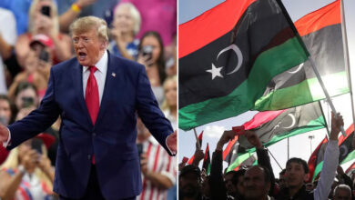 Des-«-pays-de-merde-»-aux-«-pays-infestés-par-le-terrorisme-»-les-propos-de-Trump-sur-les-nations-a