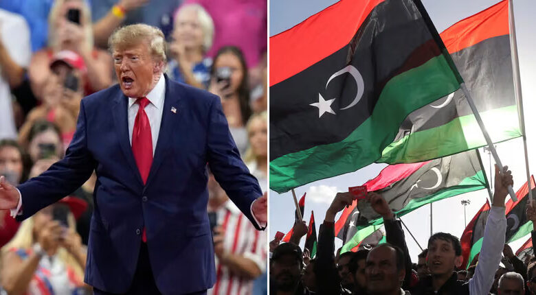 Des-«-pays-de-merde-»-aux-«-pays-infestés-par-le-terrorisme-»-les-propos-de-Trump-sur-les-nations-a