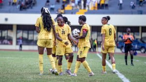 Nigeria : toute la direction de la NFF démissionne