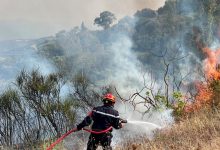 Un pompier lutte contre un incendie de forêt