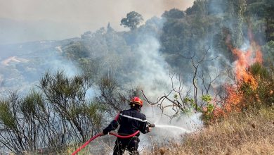 Un pompier lutte contre un incendie de forêt