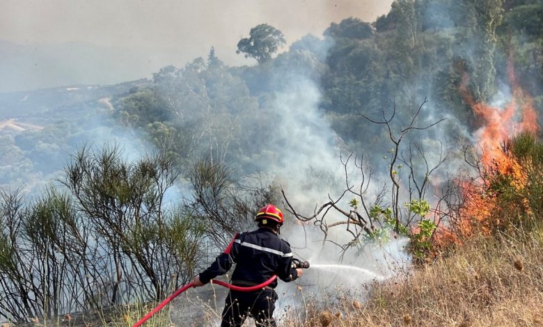 Un pompier lutte contre un incendie de forêt