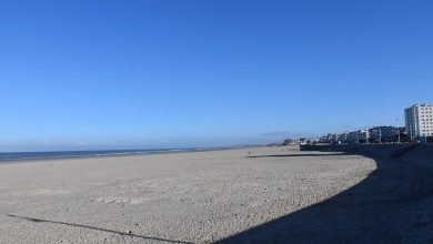 Plage de Berck en 2024, photo d’archive