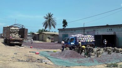 Transport de cacao en Côte d’Ivoire, photo d’archive sans lien avec les camions interceptés