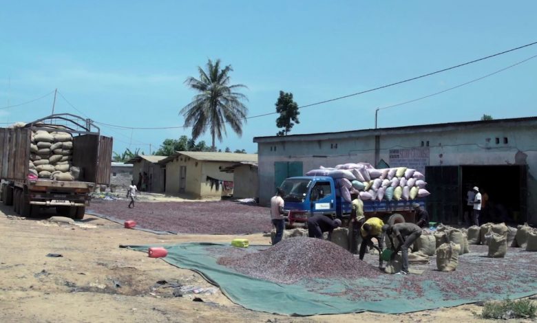 Transport de cacao en Côte d’Ivoire, photo d’archive sans lien avec les camions interceptés