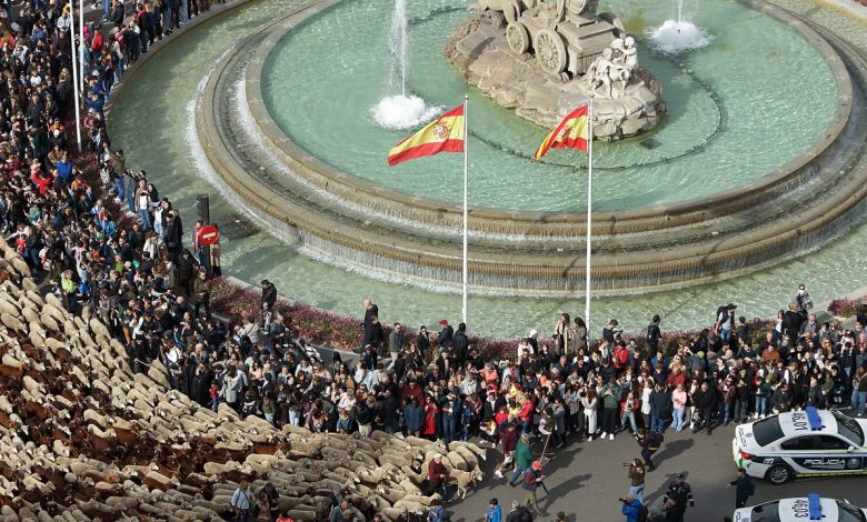 Défilé de transhumance à Madrid en 2023, photo d’archive